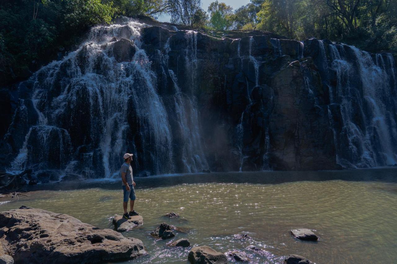 Reserva Natural Iguazu - Pristine Luxury Camp Puerto Libertad ภายนอก รูปภาพ
